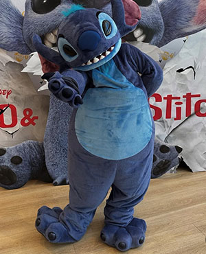 stitch
